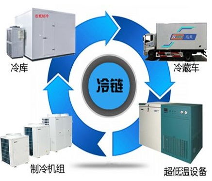上海低温仓储 精准管控与市场策略的双重突破